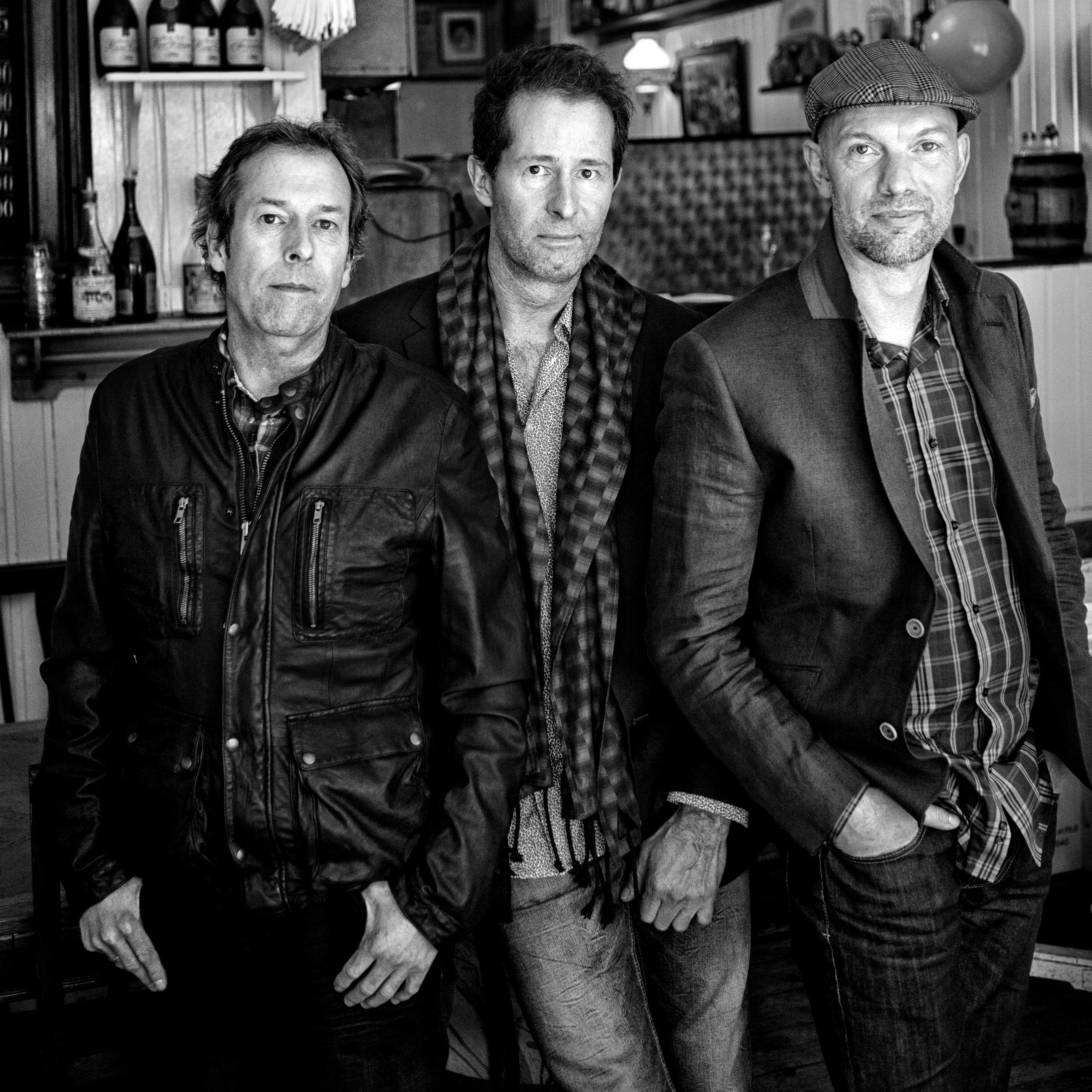 Nice Little Penguins