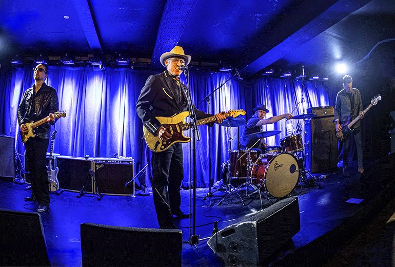 Vega strauss band (USA, Tyskland & Danmark)